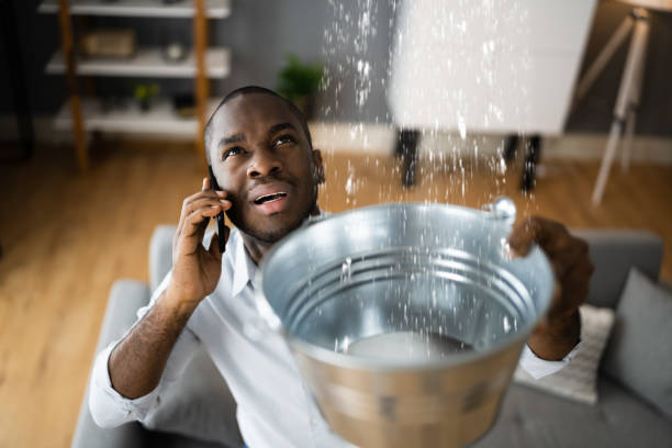 Best Water damage restoration company  in Hanahan, SC