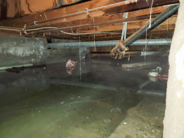 Best Ceiling water damage repair  in Hanahan, SC