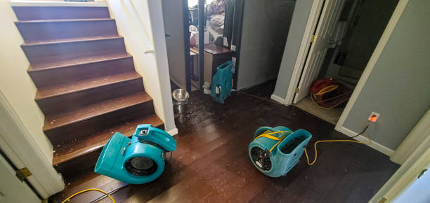 Sewage cleanup and water damage restoration in SC