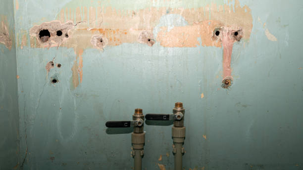 Best Fire Damage Restoration  in Hanahan, SC