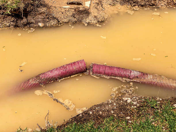 Best Residential water damage restoration  in Hanahan, SC