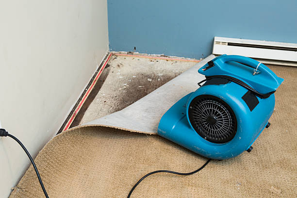 Professional Water damage restoration in SC
